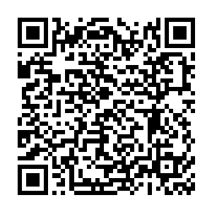 生命能量则会不断维持他的生命并拓展他身体容纳更多能量的可能二维码生成