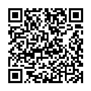 生怕他们看到了什么有害青少年健康发育的血腥场面二维码生成