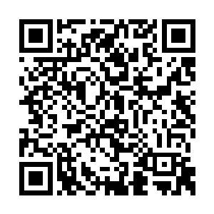 生怕伊莎蓓尔的手掌下一刻就来到了自己的头上二维码生成