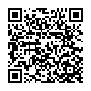 生怕出现一点点的失误被许紫烟借故拿掉了副宗主的位子二维码生成