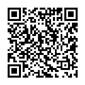 生怕匕首刀锋真的伤了自己哈利波特之轮回全文阅读二维码生成