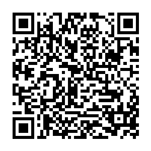 生怕吴家堡中会出现什么让他们预料不到的飞蝗弩箭之类的东西射出二维码生成