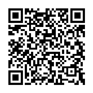 生怕因为自己的过多干预而影响了它的正常发展二维码生成