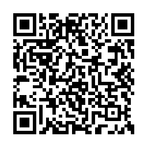 生怕张智这个恐怖的家伙会抬手拍死谭东东一样二维码生成