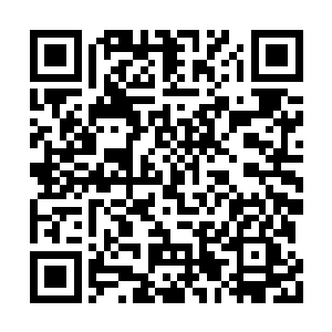 生怕有实力极强的绝顶强者感应到还真塔的气息二维码生成
