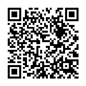 生怕看见一根铁棍子什么的从苏妙妙身体中穿出来二维码生成