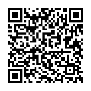 生怕踩坏了房顶上的瓦而打扰这两个小家伙睡觉二维码生成