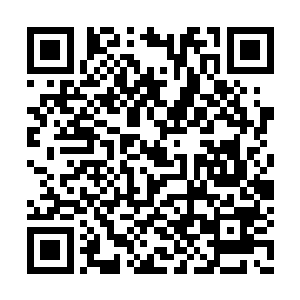 生怕连火灵都能吞噬的这些虫蚁爬到自己的身上二维码生成