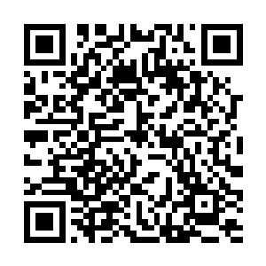 生性好动的小丫头就披头散发亟不可待的冲出了浴室二维码生成