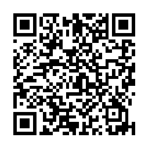生死关头江逸唯一以最快速度释放爆元掌朝对方长刀砸去二维码生成