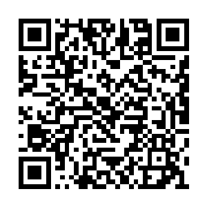 生死堂树堡可是任何势力都为之垂涎的绝佳驻地二维码生成