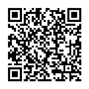 生死堂树堡坚不可摧无缝可寻的传言早已闻名遐迩二维码生成