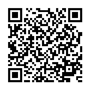 生死的……只能用更加坚强的冷漠外表保护住内心的热血和良知二维码生成