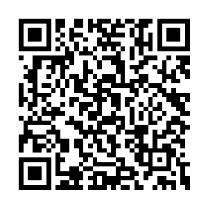 生死草发现那朝我笼罩过来的植被不受他的控制二维码生成