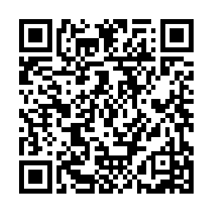 生活一切所需都是她从上次扫荡xx县黑势力得来的二维码生成