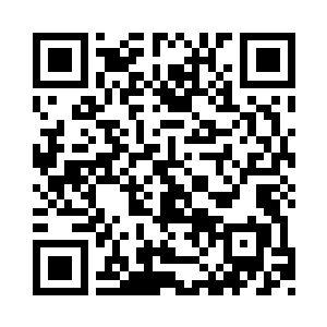 生活本就是因为有很多的未知去探索去经历二维码生成