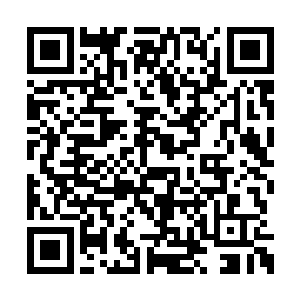 生物伦理学实在是杨锐许久没有复习过的词汇了二维码生成