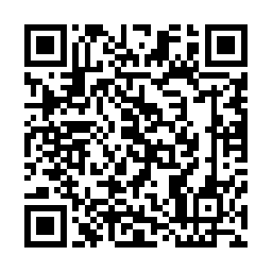 生物学家还是成功从孢子中培育出一种十分罕见的变色莲花二维码生成