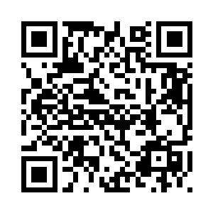 生生被其内的漩涡巨力撕扯成碎片二维码生成