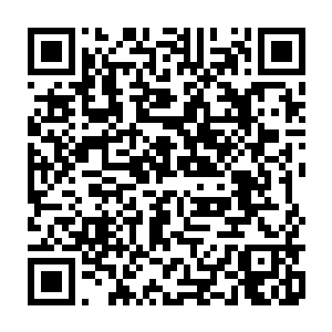 生长出无数枝叶插进了那白衣僧人和菩提祖师身上激荡而出的璀璨光辉之中二维码生成