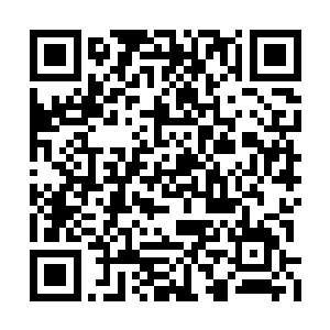 生长在南方的姜莱很不适应北方这种干冷的气候二维码生成