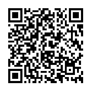 生长在药园外围的这些植物都需要定期进行清理二维码生成