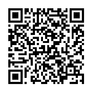 用一个豹女将因赛科治得服服帖帖-----不过这把二维码生成