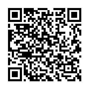 用一副看小羊羔的表情默不作声的看着这群军医二维码生成