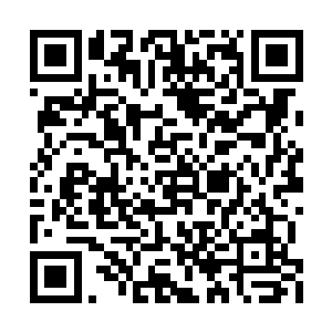 用一块不知道哪里来的毛巾给我擦着手上的血迹二维码生成