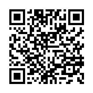 用一把只能一次性发射十五发子弹的手枪二维码生成