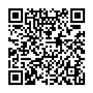 用上万台最强大的洪荒晶脑将所有星舰都统合起来二维码生成