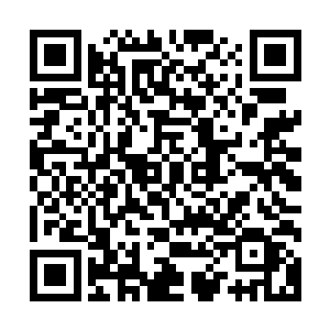 用上以前学会的那套对付男人的方法你说陈树会不会改变主意二维码生成