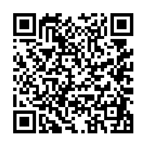 用不了一天这座城市的几百万僵尸肯定变成几百万分尸二维码生成