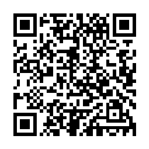 用不了多久你这一身修为和力量就会全部被这祖巫残骸所吞噬二维码生成