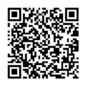 用不同的剑施展出不同的剑招是非常匪夷所思的事情二维码生成