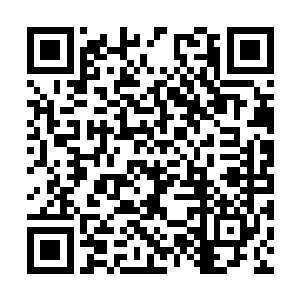 用不用我去把她剩下的条尾巴也给斩断替你出口气二维码生成