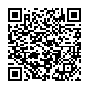 用两根手指捻了一点颗粒放入到一块朽木之中的凹陷位置二维码生成