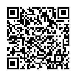 用了一个小时的时间这一边的传送阵就布置完了二维码生成