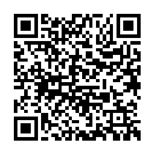 用了一天的时间就把量家的财物搜刮得一干二净二维码生成