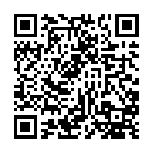 用了不到十分钟的时间龙傲天就搞定了这个傀儡狮二维码生成