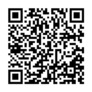 用了十部的伤害都还给把你们打伤的那些小王八蛋子二维码生成