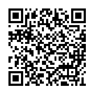 用了点微微的剑气便将耳针钉在了圆胖的耳朵上二维码生成