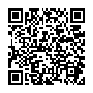 用了足足十秒钟才消化吸收吕轻尘极具冲击性的论断二维码生成