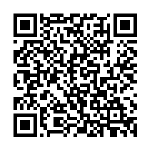 用于负重的驮马拖着干燥的柴枝穿过了血淋淋的战场二维码生成