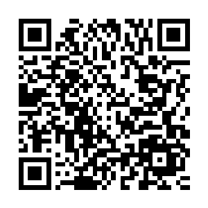 用他们的奇思妙想创作出了一部又一部令人拍案叫绝的精彩作品二维码生成