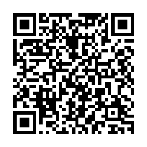 用伪装布盖在枪口上造成三支狙击步枪的枪声只回荡在山岩顶部二维码生成