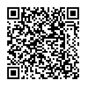 用你给我那些混沌之气十倍之量就可以将她提升到先天仙宝的境界二维码生成