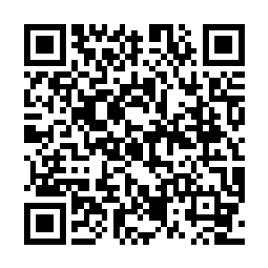 用力地想要将这枚法印硬生生地与自己的身体剥离开来二维码生成