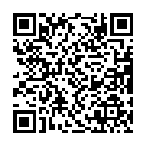 用各种手段推上去的天仙――其时蓝翔和隆山激斗二维码生成