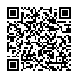 用她那双似乎可以看透一切的眸子直直地盯着少年二维码生成